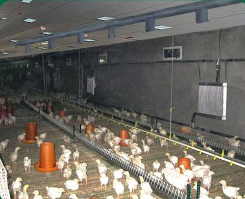 禽舍’養殖供暖設備